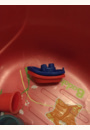 avis Bateaux de bain farandole par julie