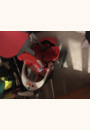 avis Tricycle Baby Trike Easy Evolution par Aurore