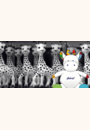 avis Doudou peluche personnalisable par Sophie