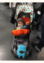 avis Poussette Supa par Caroline