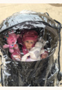 avis Trio Streety par Charline 