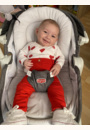 avis Transat Rocker Napper Cozy Evolution  par Carla