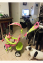 avis Tricycle Baby driver confort sport par melanie