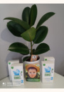 avis Lait 2ème âge - 800g par Angelique