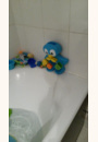 avis Pingouin Fontaine de bain par Sonia