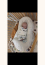 avis Cocoonababy par Sandrine