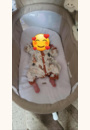 avis Balancelle LOUNA 4 en 1 Multifonction par Anna