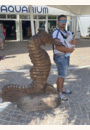 avis Porte-bébé préformé My Néo par Marine