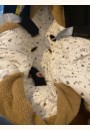 avis Nid d'ange transformable en peluche Ourson par Aslihan