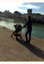 avis Poussette Loola 3 par Laetitia
