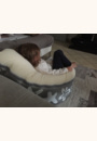 avis Doomoo Nid par Coralie