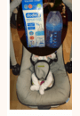 avis Biberon anti-colique INITIATION+ 150 ml par Océane 