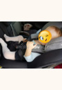avis Siège auto i-Size i-Anchor Advance par Flavie