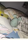 avis Veilleuse en silicone souris par Vanessa