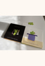 avis Livre Une souris verte par Julie