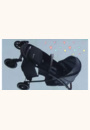 avis Poussette polyvalente Ingenious par Khadidja