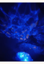 avis Veilleuse projecteur Tortue Aqua Dream par Chahrazad