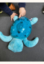 avis Veilleuse Tranquil Turtle™ par Marie