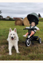 avis Tricycle fonctionnel Aston par Alicia