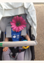 avis Poussette G2 par Marie