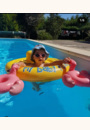avis Bouée culotte My baby float par Lory