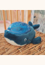 avis Projecteur dynamique Baleine Aqua Dream par Sabah