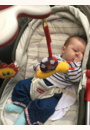 avis Transat Rocker napper 3 en 1 par charline