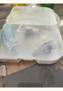 avis Mouche bébé par Marine