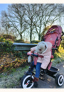 avis Tricycle fonctionnel Aston par Blandine
