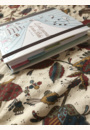 avis Le petit journal de mon bébé par Lucia