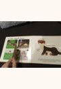 avis Mes animaux de la campagne à toucher par Sarah