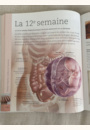 avis Votre grossesse jour après jour par Lina