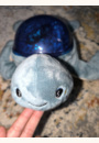 avis Veilleuse projecteur Tortue Aqua Dream par Lydia