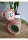 avis Coach sommeil Koala Kid Sleep par Élodie