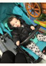 avis Poussette Qbit Plus par Adeline