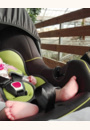 avis Poussette combinée Beebop par Noëlline
