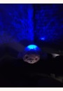 avis Projecteur dynamique Phoque Aqua Dream par Tracy