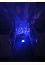 avis Projecteur dynamique Baleine Aqua Dream Deluxe par Alicia