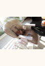 avis Chaise haute multipositions par Aline