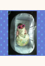 avis Mini Magic Bed par Sophie
