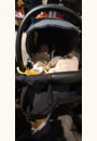avis Poussette Trio Activ3 Top par Auréa