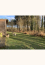 avis Domaine du Bois aux Daims par Aline