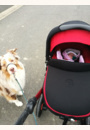 avis Poussette Trider par Solenne