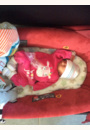 avis Poussette Elea par Adeline