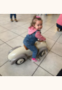 avis Porteur Speedster par Lory