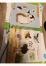 avis Magibook - Les bébés animaux par Adeline