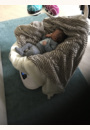 avis Balancelle Mamaroo par Célia 