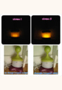 avis Veilleuse lutin par Eve