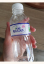 avis Eau Minérale Mont ROUCOUS 12 x25 cL par LISE