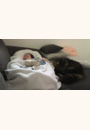 avis Cocoonababy par Camille